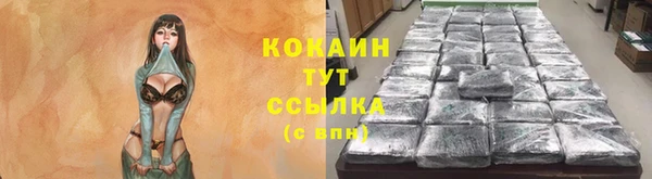 прущие грибы Алексин