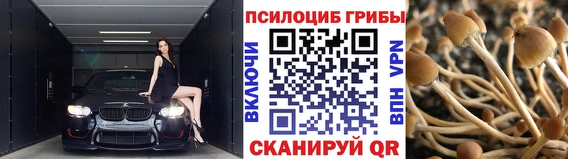 Псилоцибиновые грибы ЛСД  наркотики  Гаджиево 