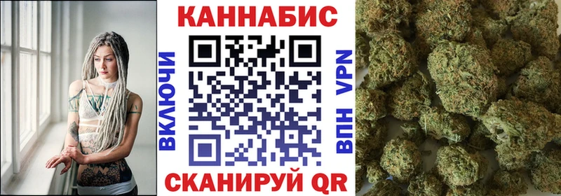 Марихуана SATIVA & INDICA kraken онион Гаджиево darknet клад купить